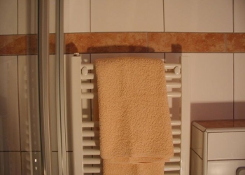 ferienwohnung ötztal haus tanja in längenfeld badezimmer